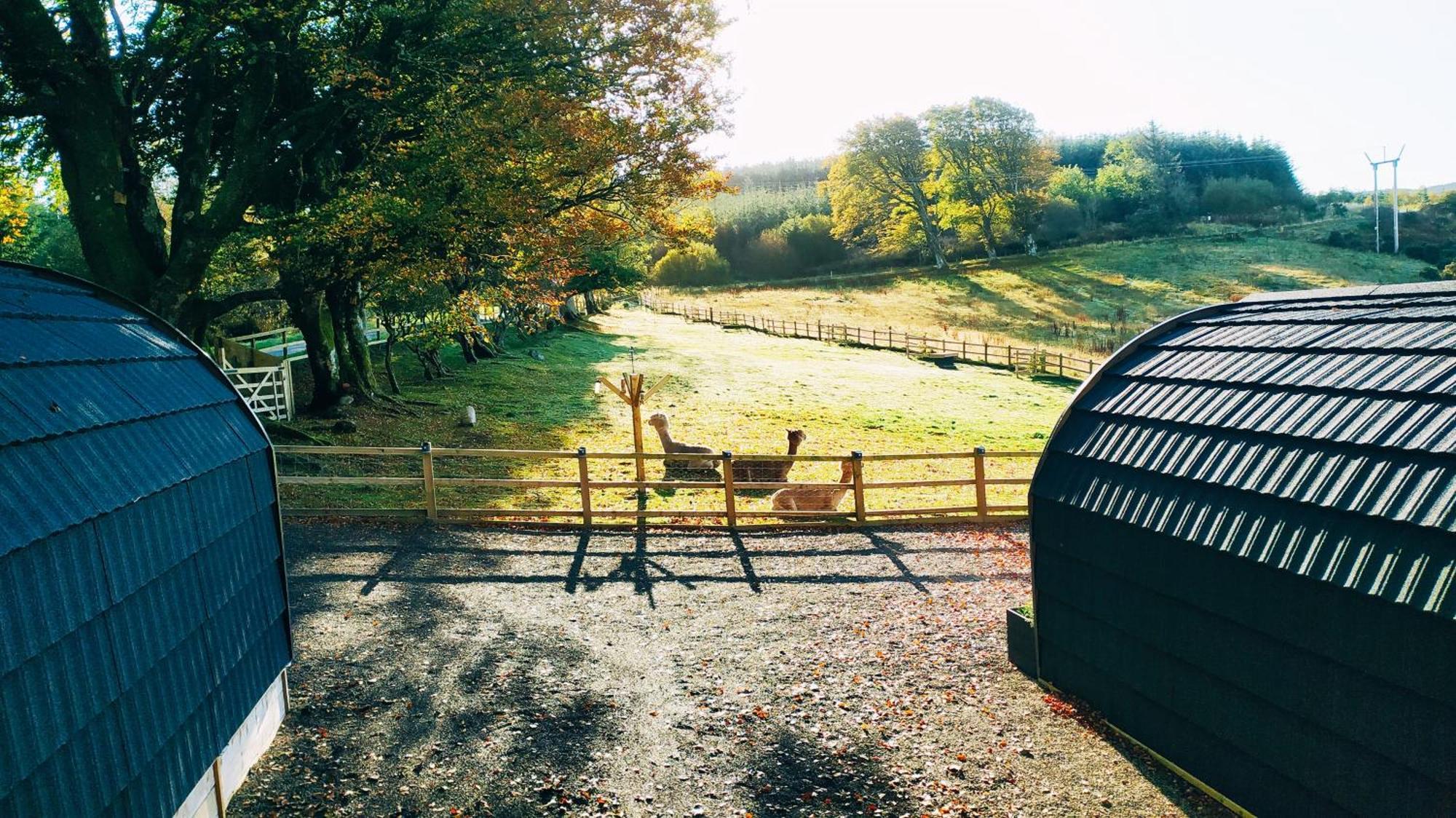 Little Peru Luxury Glamping Pods Apartment Crosshill Exterior photo